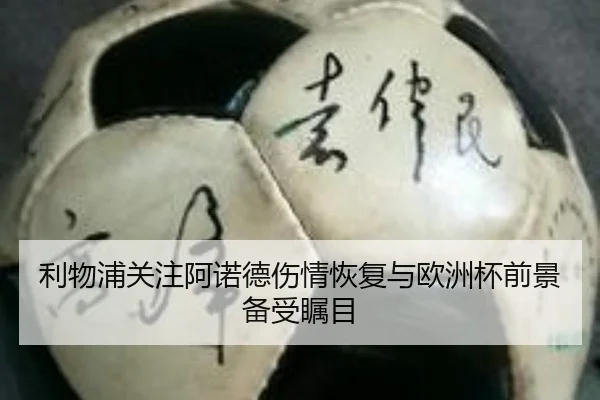利物浦关注阿诺德伤情恢复与欧洲杯前景备受瞩目